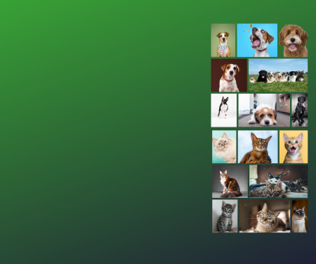 Stage Header